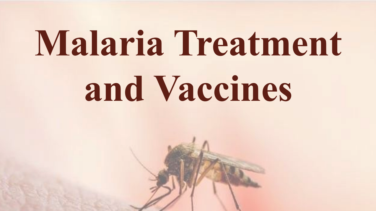 Malaria Treatment and Vaccines