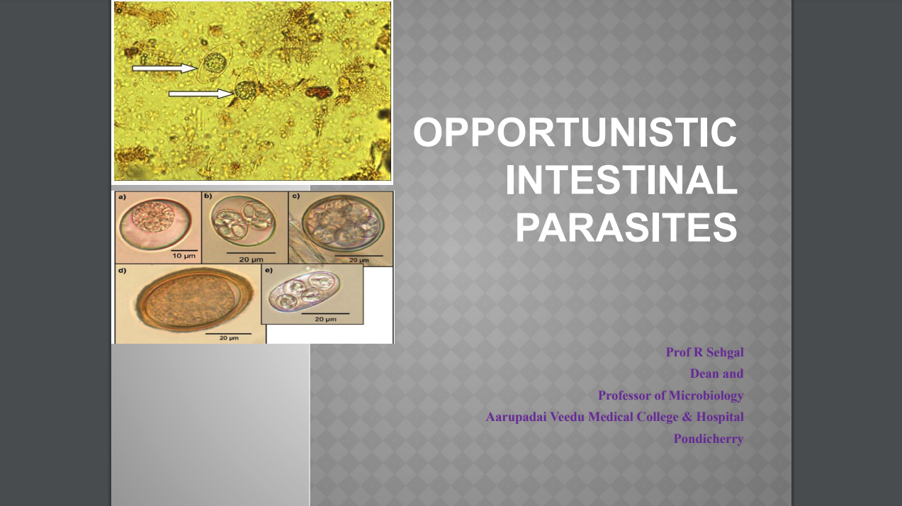 Opportunistic Intestinal Parasites