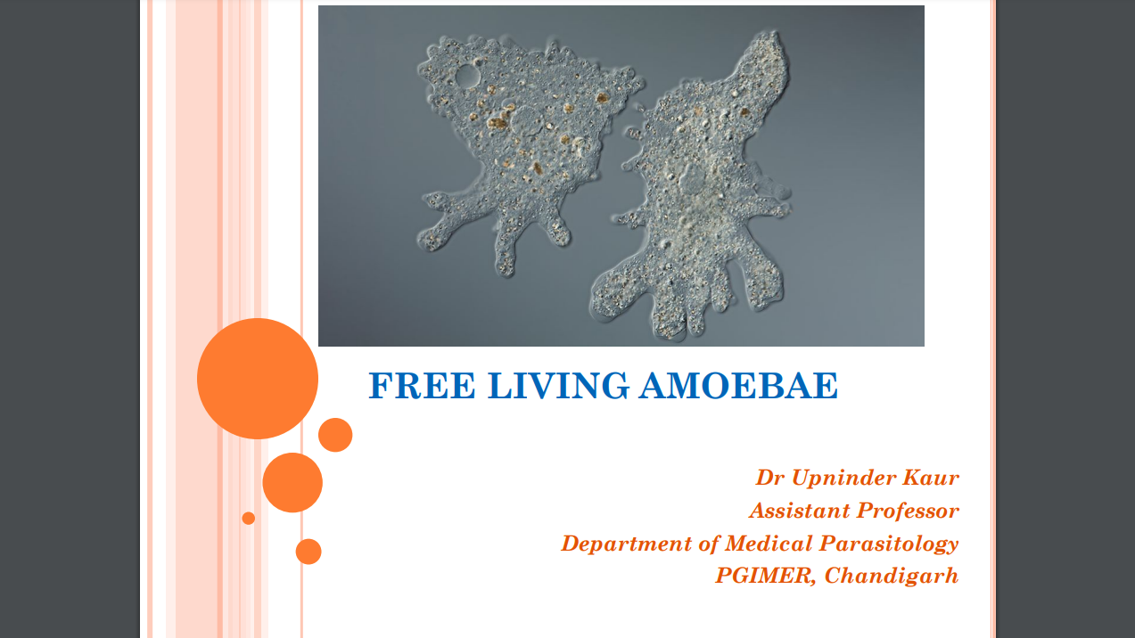 Free living Amoebae